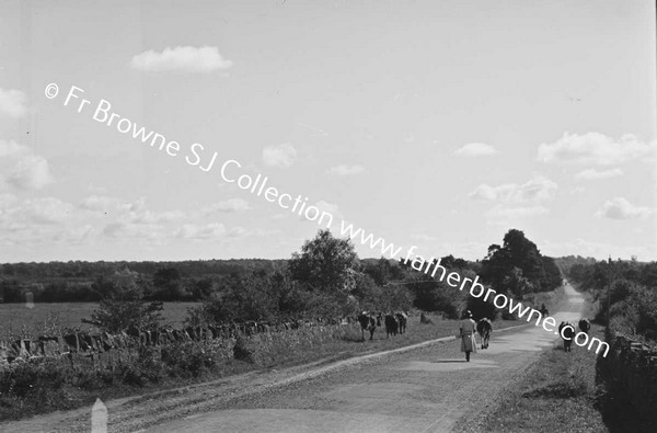 ROAD WITH PEOPLE WALKING